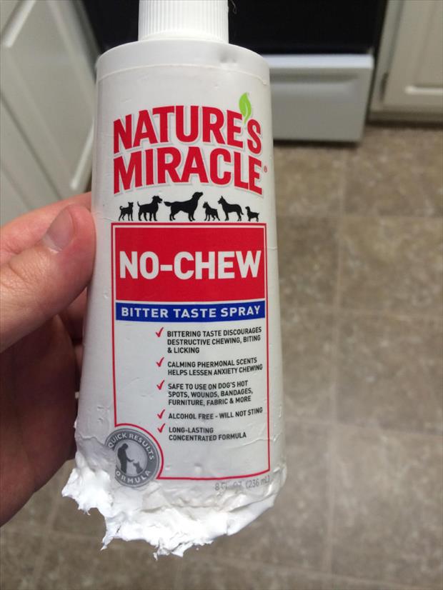 A Bottle Of No Chew Dog Spray. I Wonder If This Stuff Works?