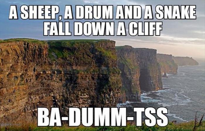 A sheep, a drum, and a snake fall down a cliff.