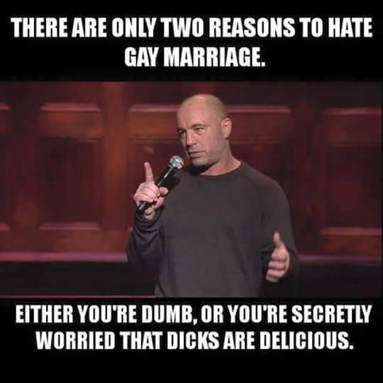 According to Joe Rogan there are only two reasons to hate gay marriage.