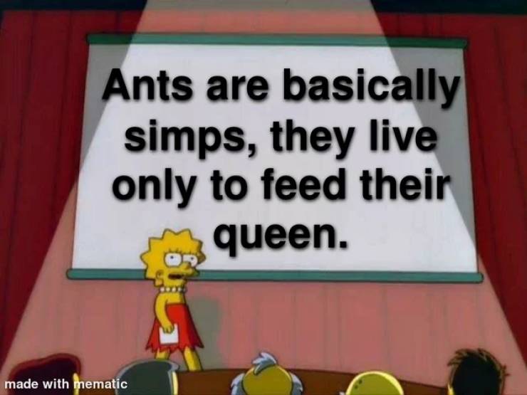 Ants are simps.