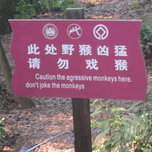 Apparently If You Mess With The Monkeys You Are Screwed.