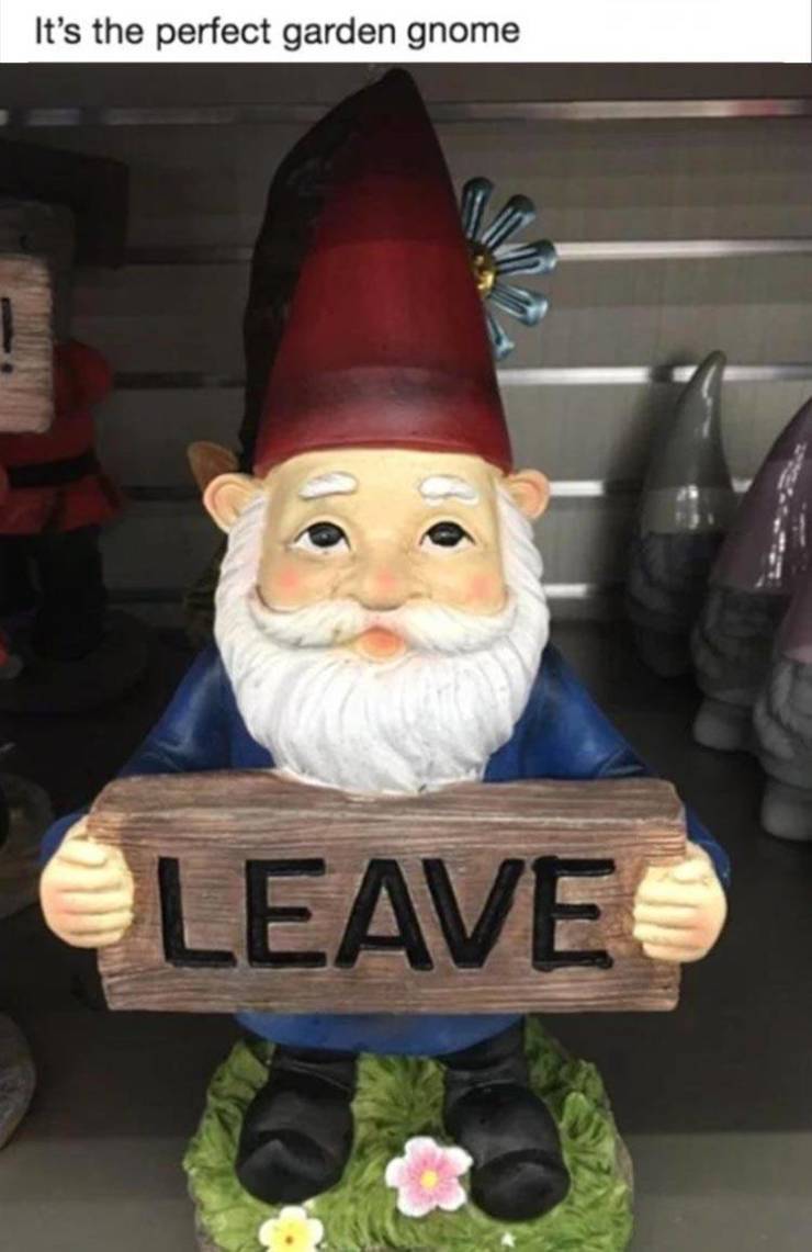 Best garden gnome ever!