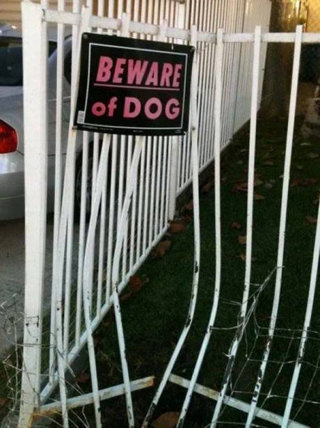 Beware of dog, for real this time.