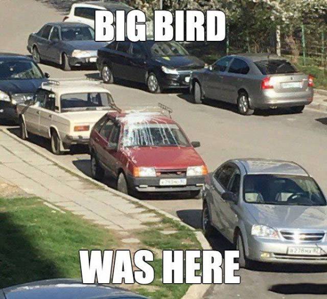 Big Bird was here.