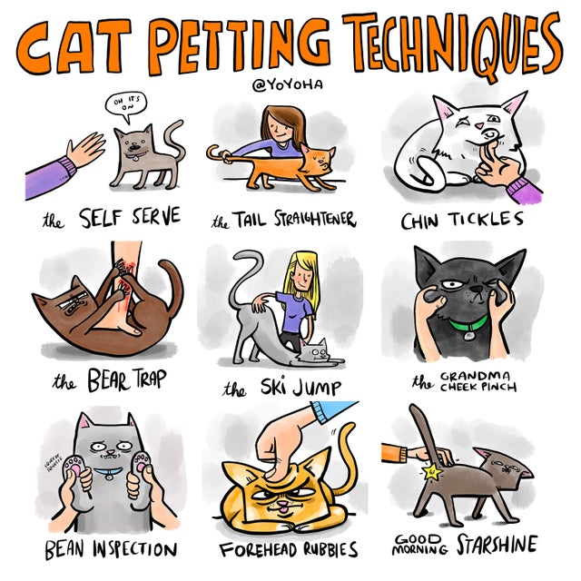Cat petting techniques.