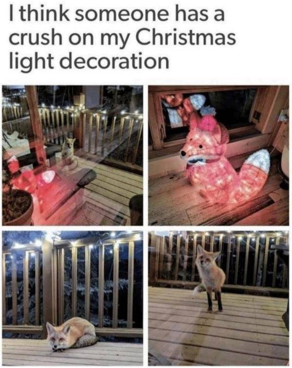 Christmas light decoration crush.