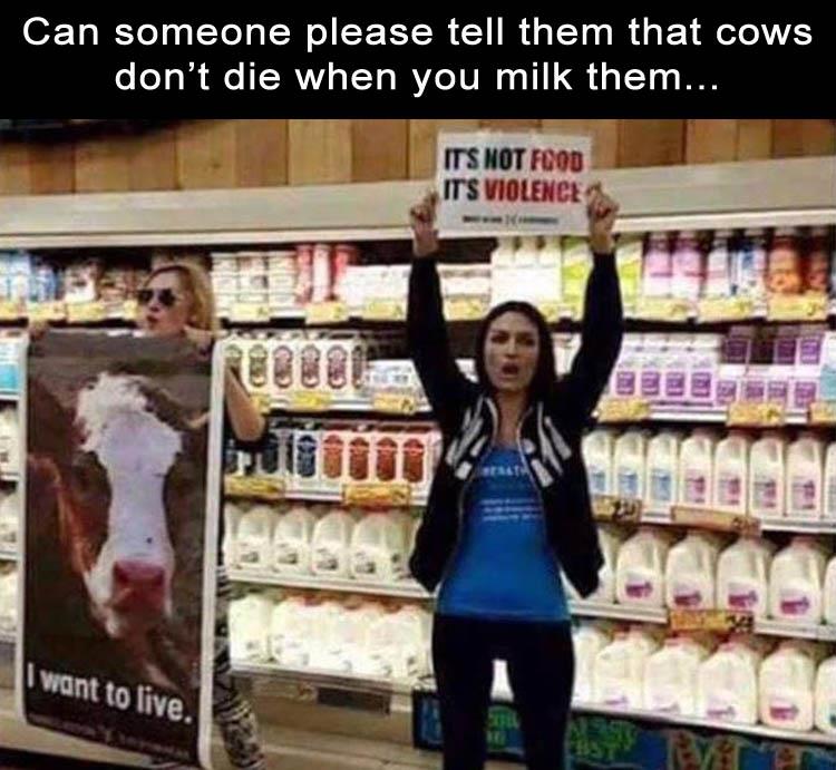 Cows don't die when you milk them.