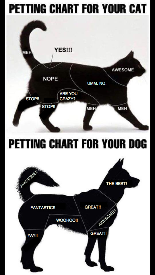 Dog and Cat Petting Chart