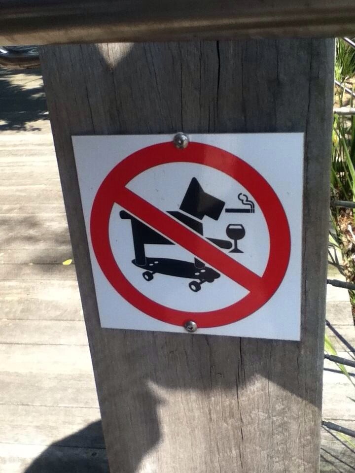 Dogs Are Not Allowed To Ride A Skateboard While Drinking And Smoking At This Location.
