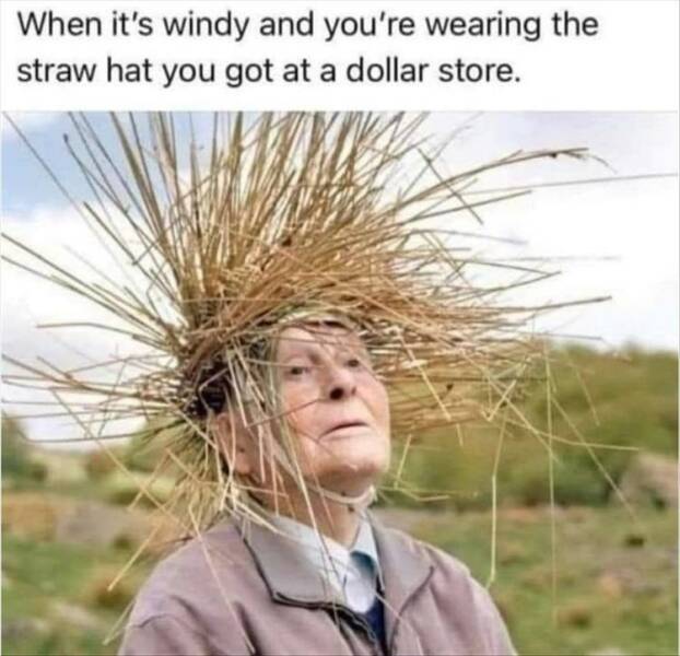 Dollar store straw hat.