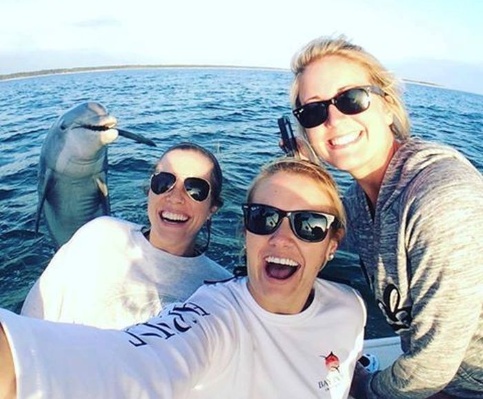 Dolphin selfie.