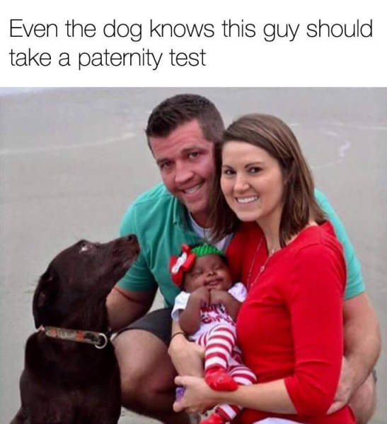 Even the dog knows this guy should take a paternity test.
