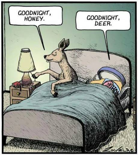 Goodnight, honey.