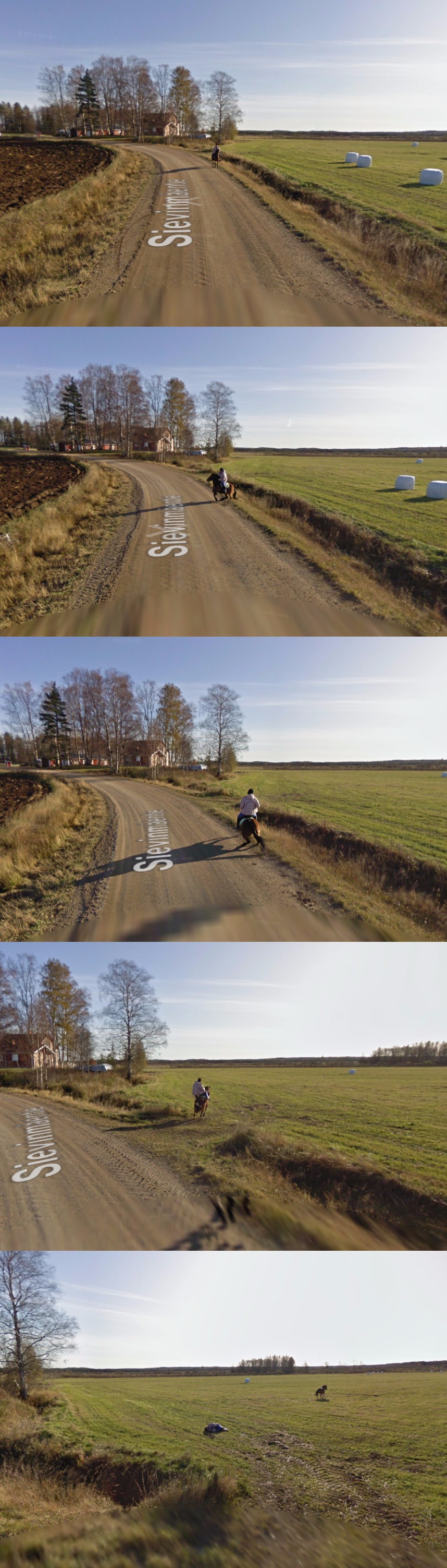 Google street view car meets someone riding a horse.