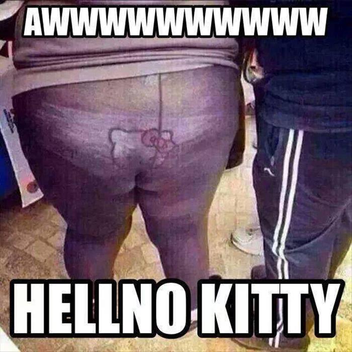 Hell NO Kitty!