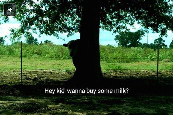 Hey kid, wanna buy some milk?