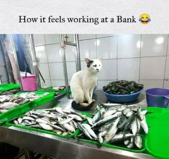 How it feels working at a bank.