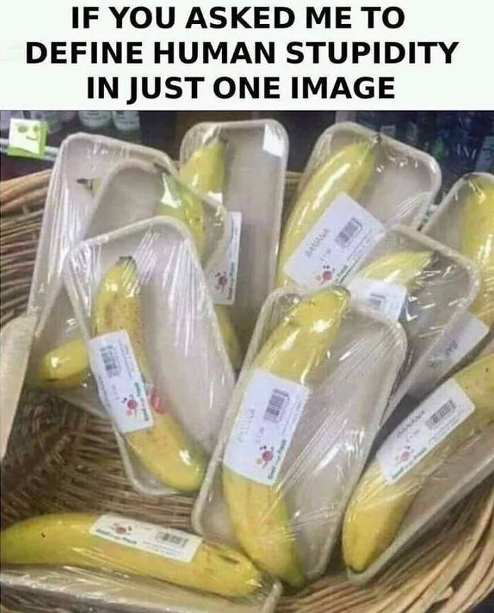 Human stupidity defined.