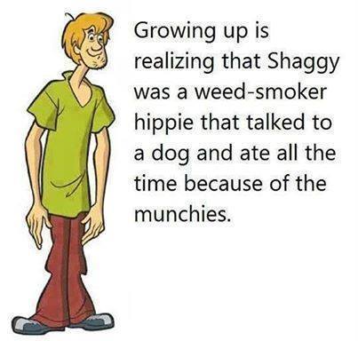 It all makes sense now. Shaggy was stoned in every episode. Zoinks!!.