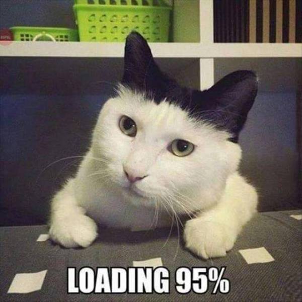 Loading 95% complete.