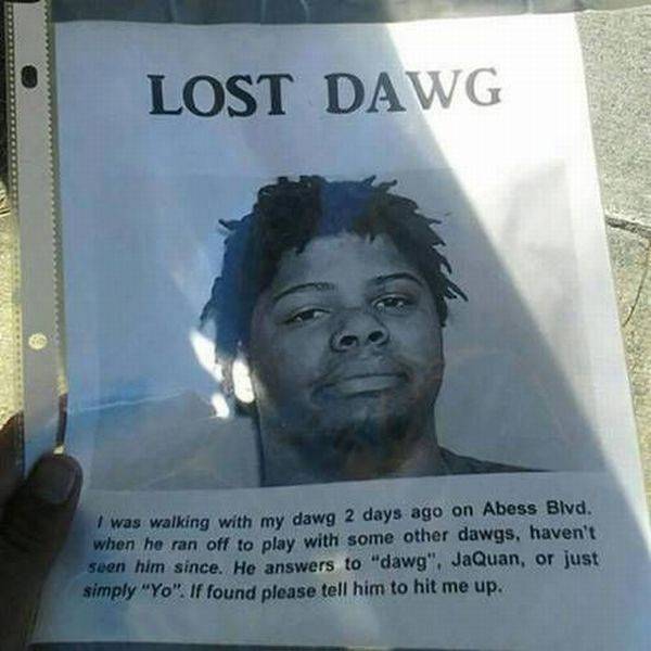 Lost Dawg.
