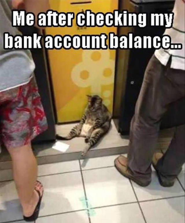 Me after checking my bank account balance.