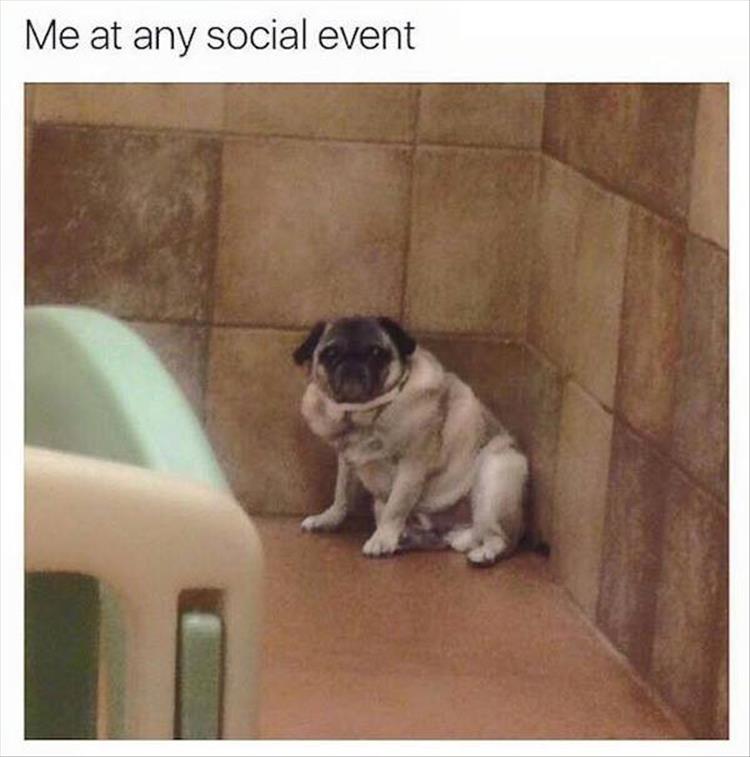 Me at any social event.