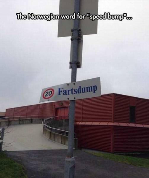 Norwegian speed bump.