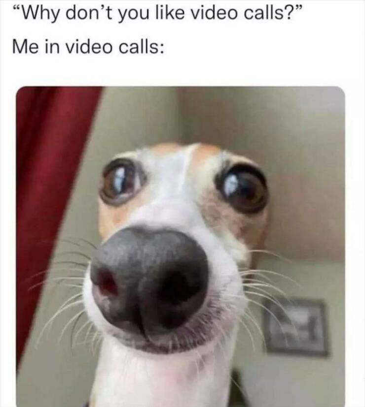 Not a fan of video calls.