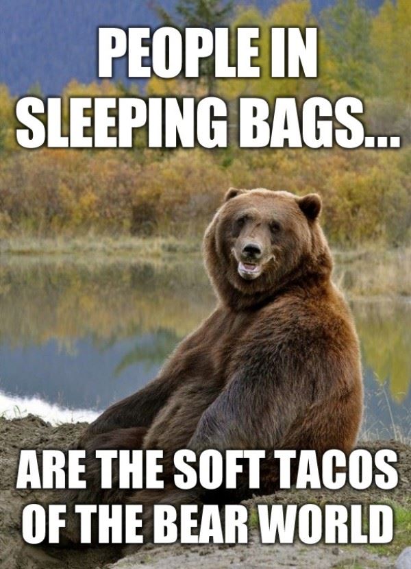 People In Sleeping Bags Are The Soft Tacos of The Bear World.