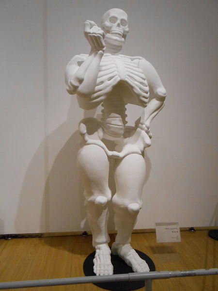 Proof there is such a thing as being big boned.
