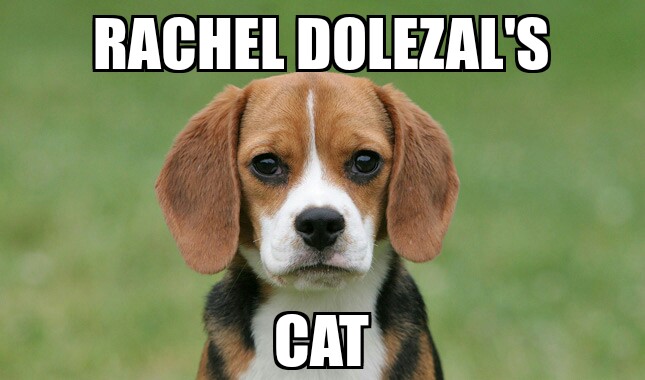 Rachel Dolezal's cat.