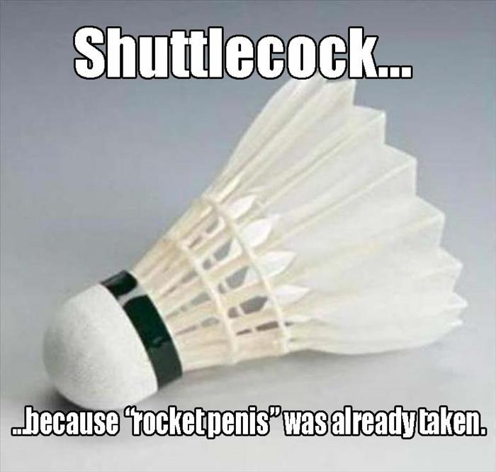 Rocketpenis would have been better, but shuttlecock will do.
