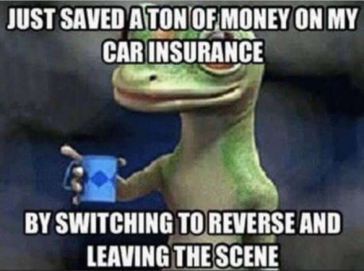 Save a ton on car insurance.