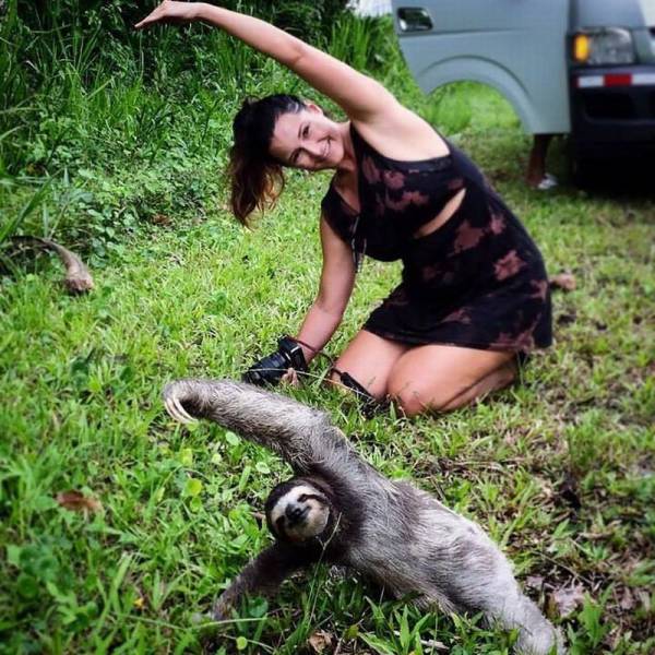 Sloth Yoga.
