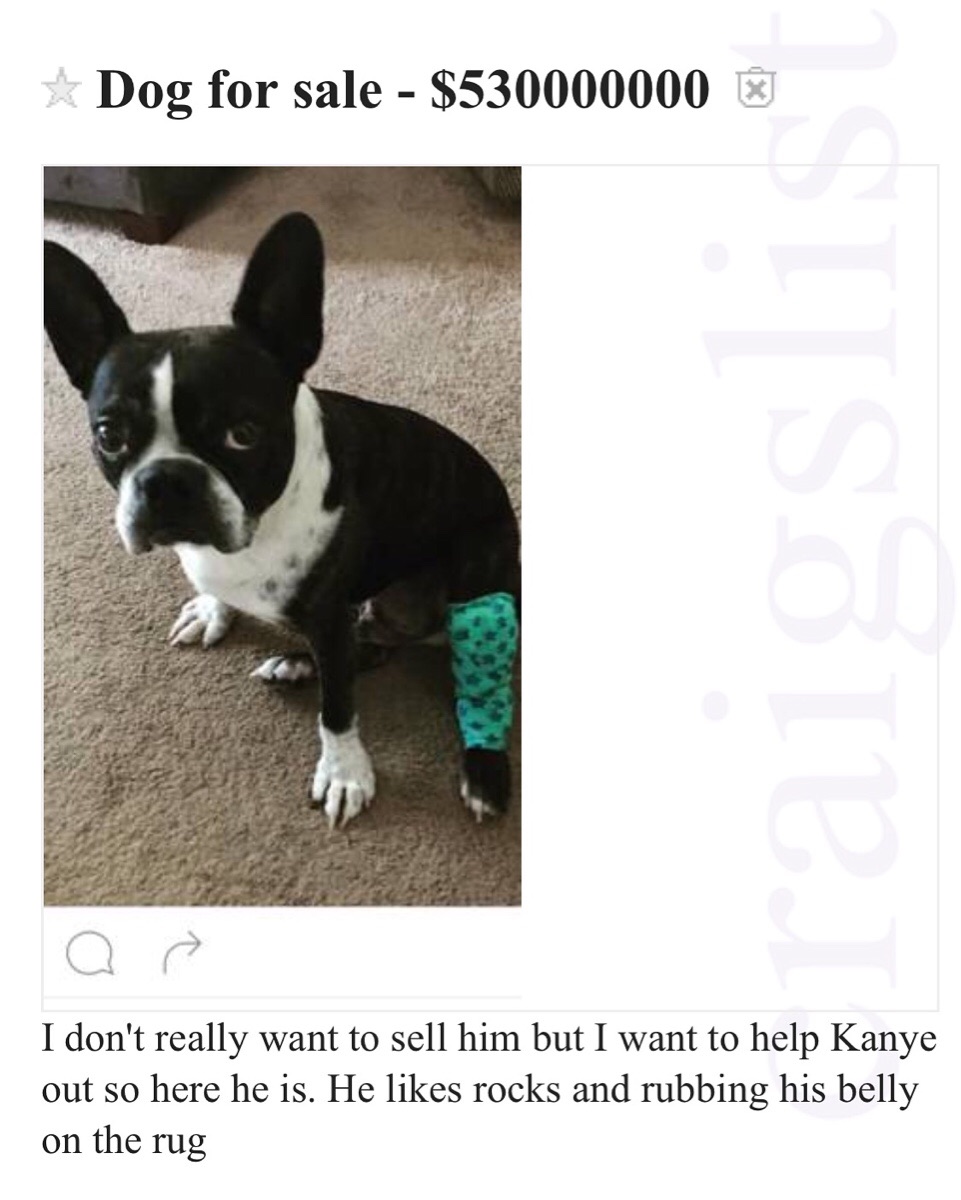 Dog for sale with a price of $53 million. Proceeds will help Kanye West.