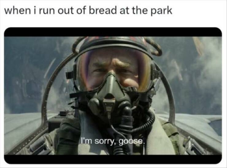 Sorry, Goose.