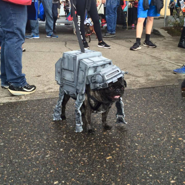Star Wars AT-AT Walker pug.