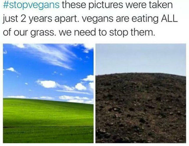 Vegans are destroying the planet. #stopvegans