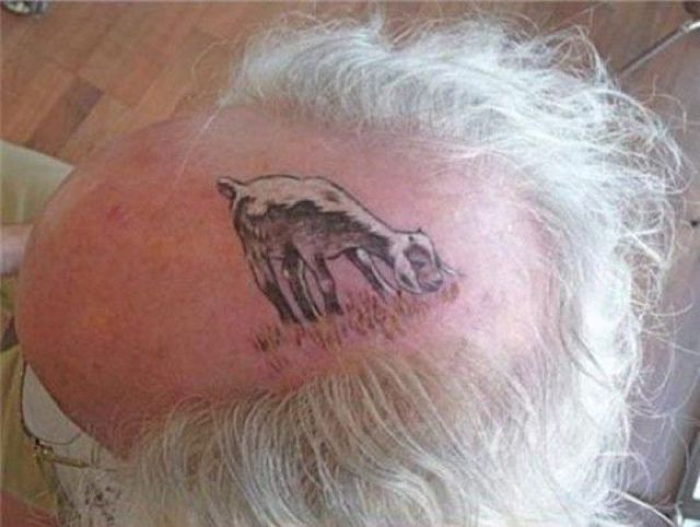 Tattoo of a goat grazing on your bald head is better than just a bald head.
