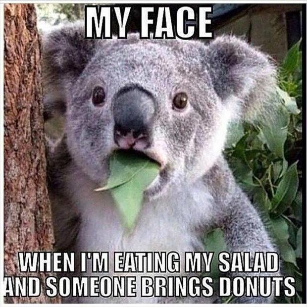 The face you make when you are eating a salad and someone shows up with donuts.