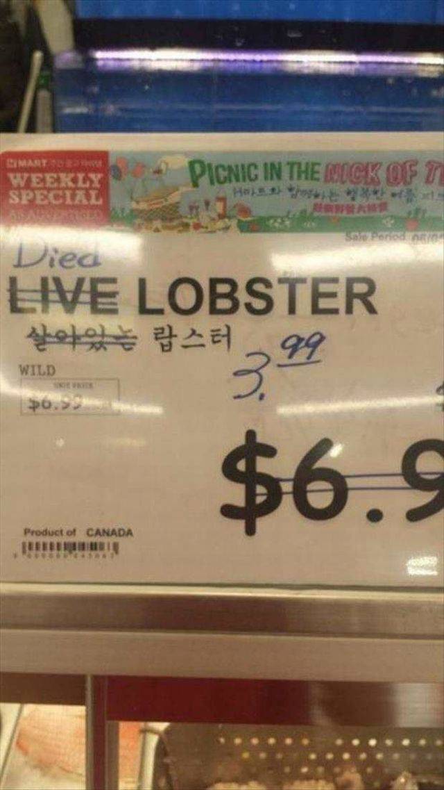 The live lobster died.