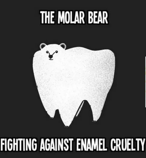The Molar Bear...