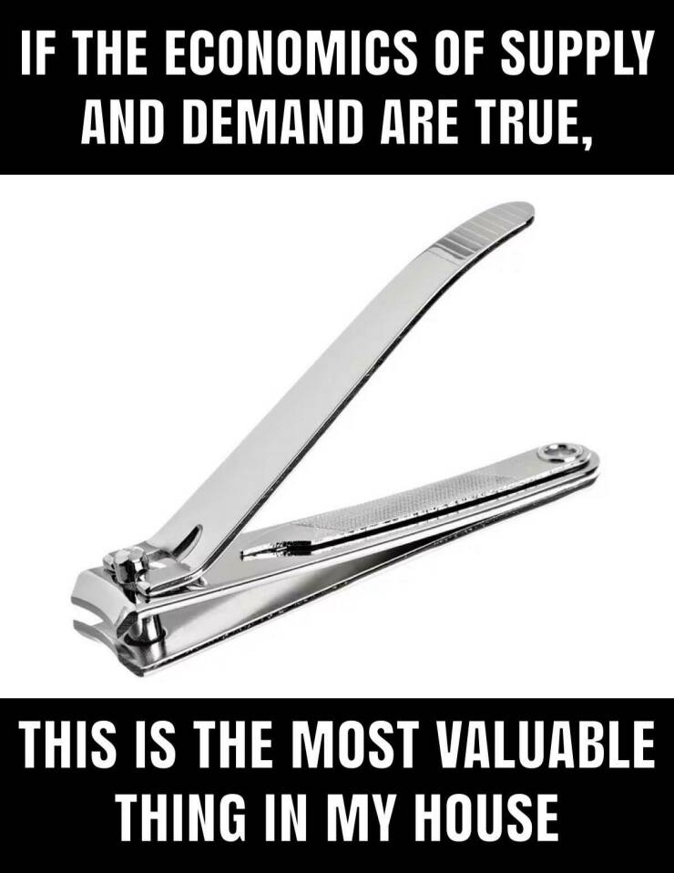 The most valuable thing in the house.