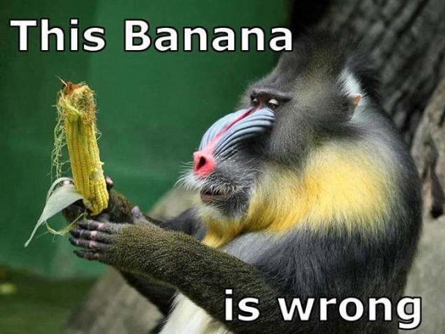 This banana is wrong.