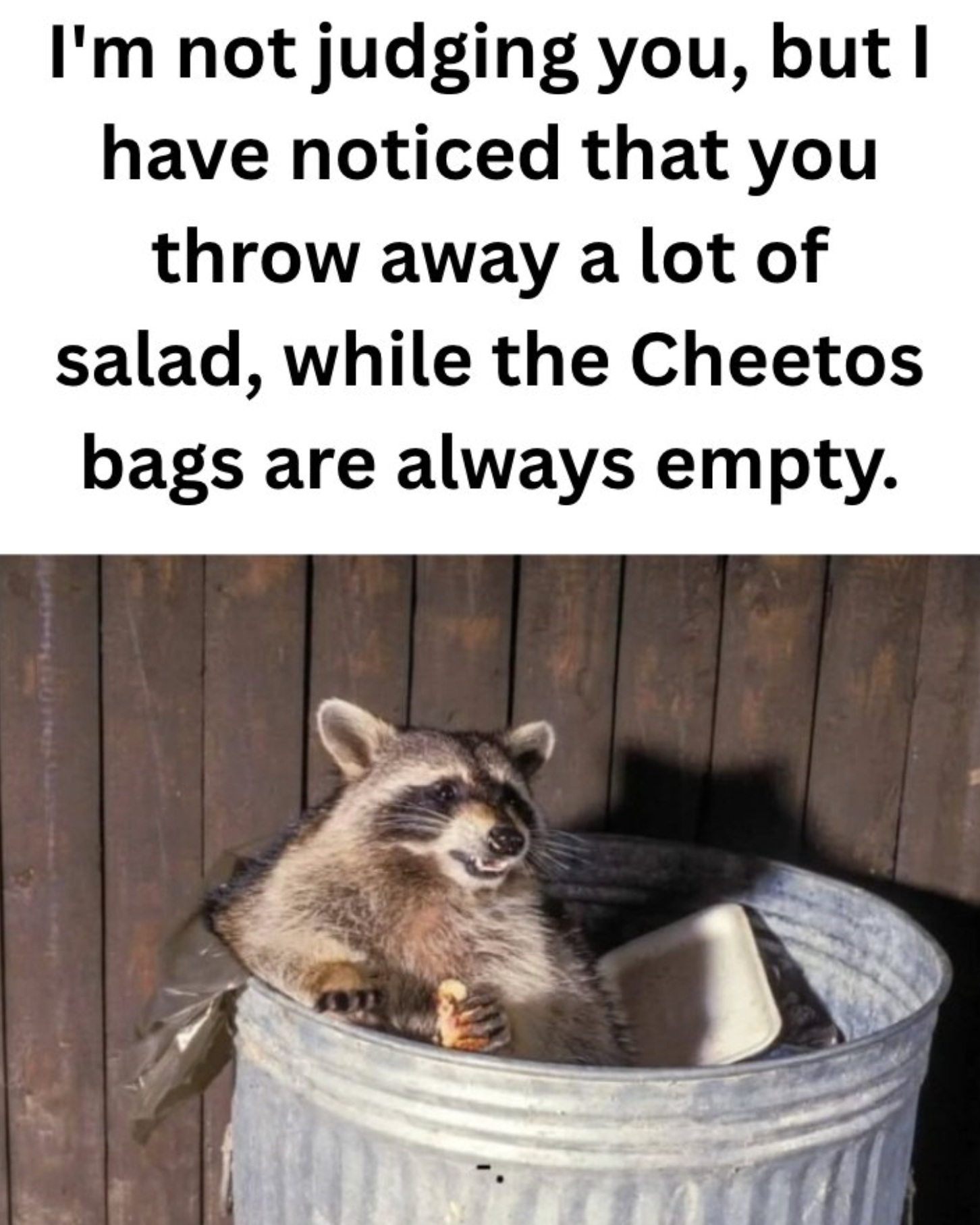 Trash Panda has an observation.
