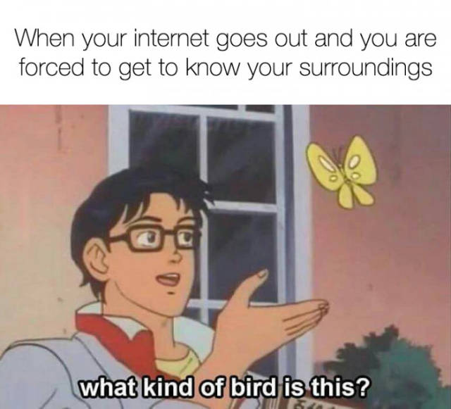 When  your internet goes out and you are forced to get to know your surroundings.