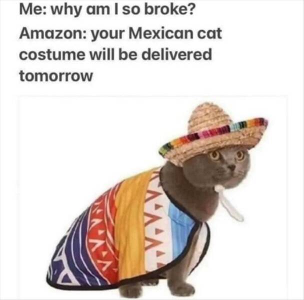Why am I always broke?