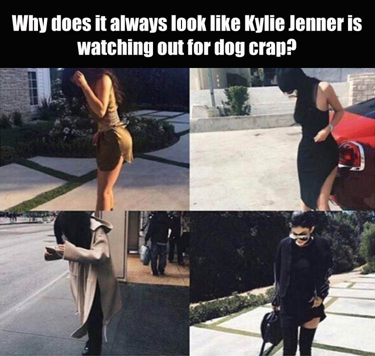 Why does it always look like Kylie Jenner is watching out for dog crap?