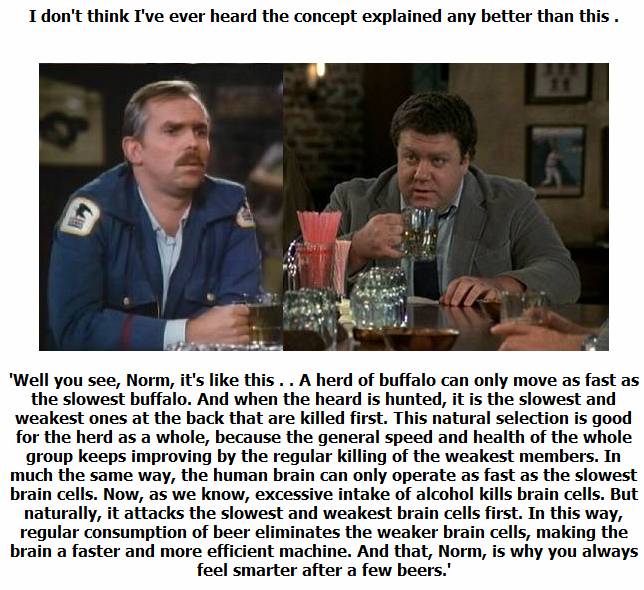 Why you feel smarter after a few beers according to Cliff Clavin from Cheers..